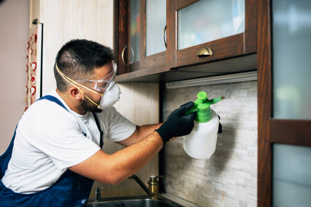 Best Pest Control Near Me  in Springfield, MI