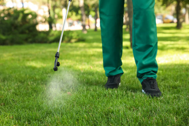 Best Commercial Pest Control Services  in Springfield, MI